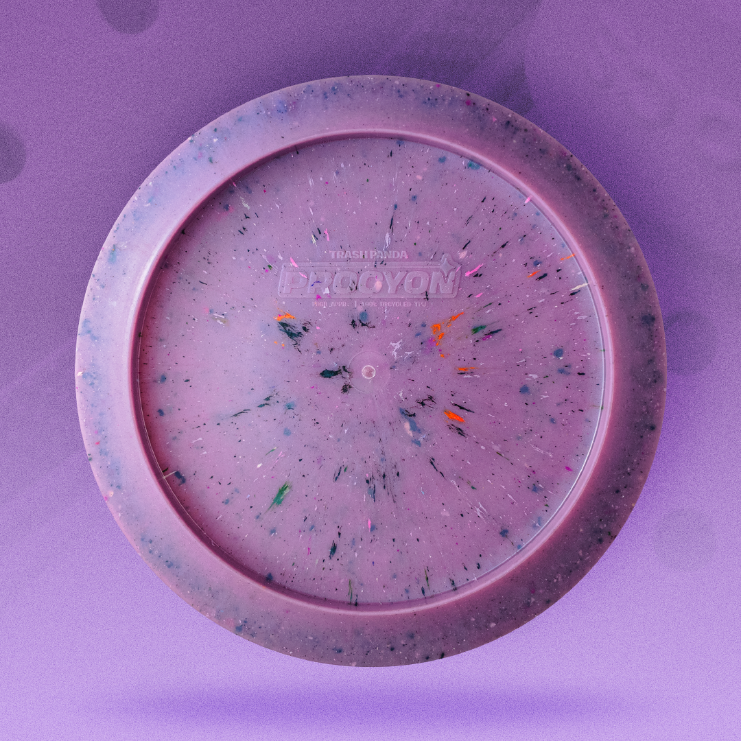 Procyon 11/4/-1/2