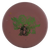 Triceratops 3/3/-3/1