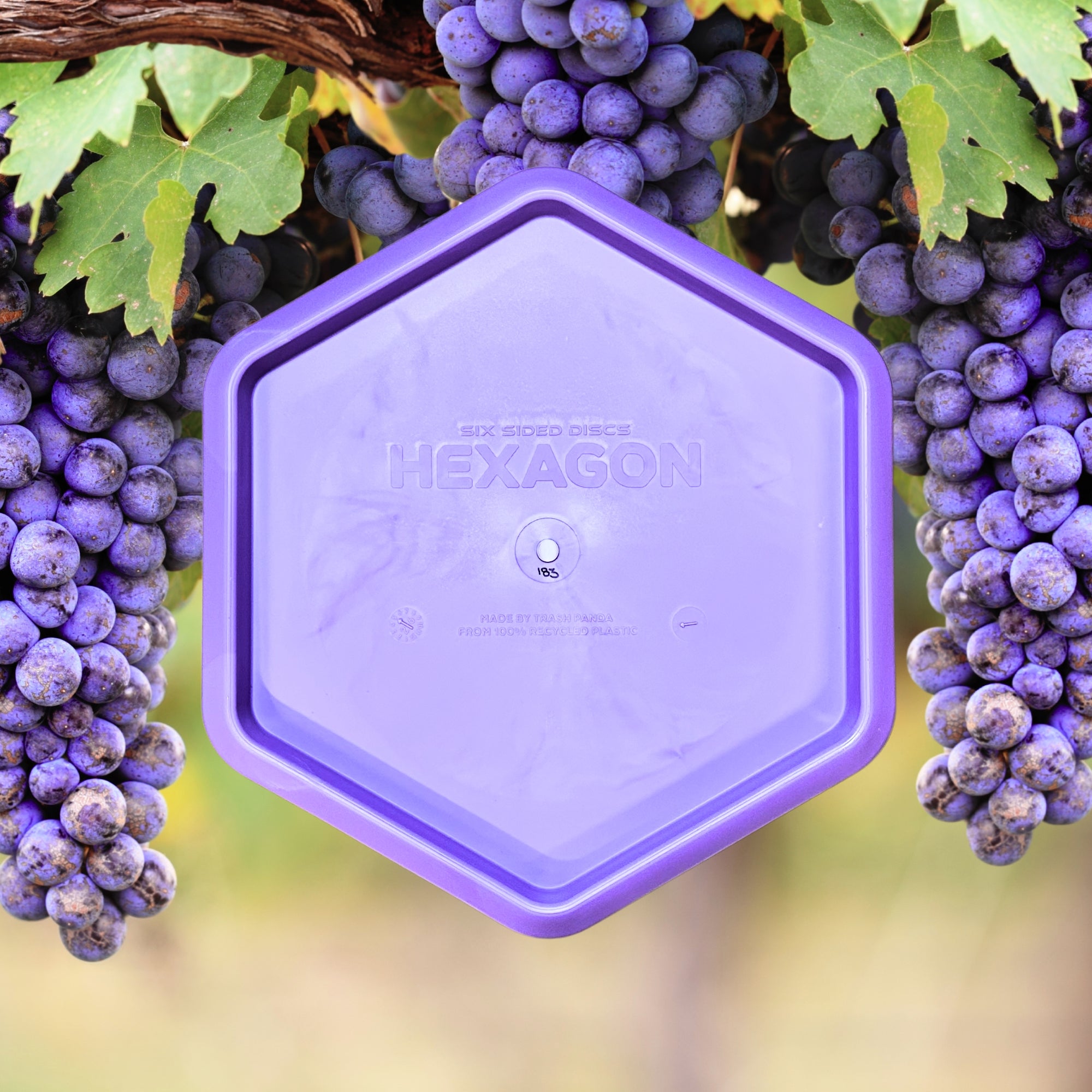 Hexagon